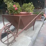 Profumo Di Legno