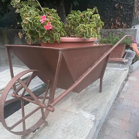 Profumo Di Legno